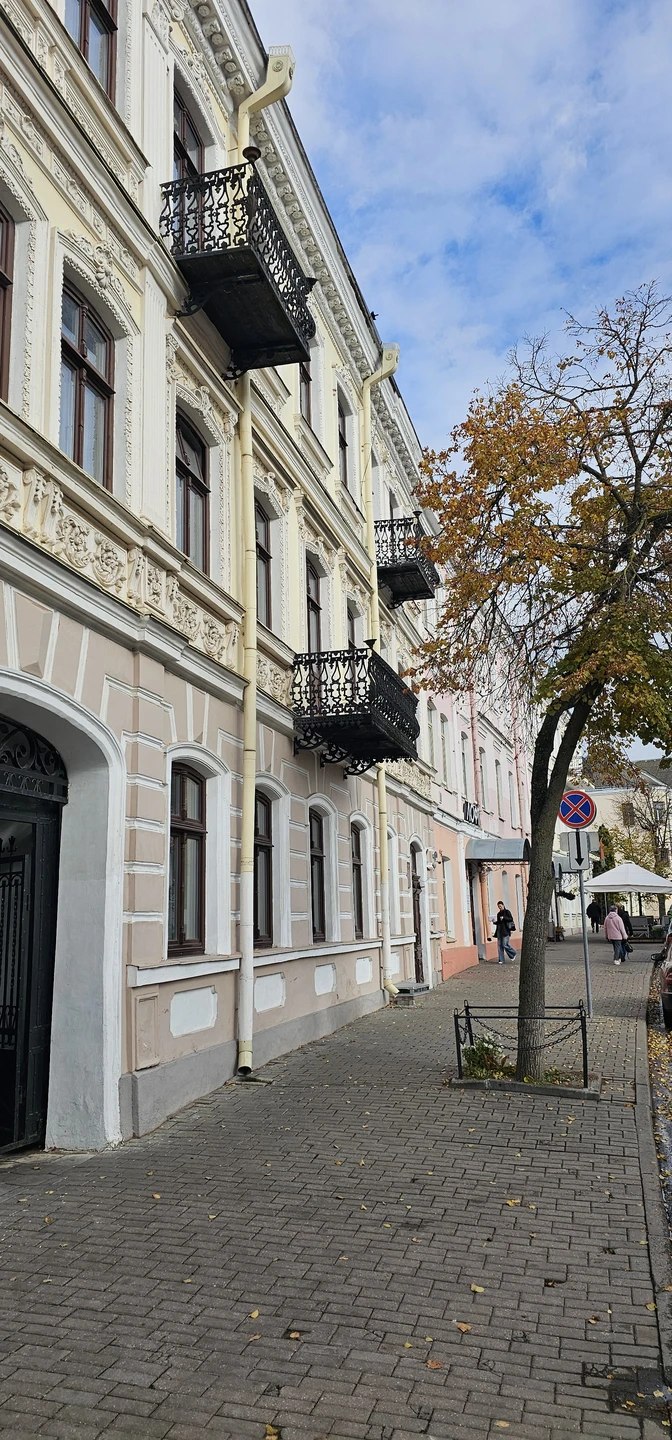 Королевский город Гродно (Олеся)