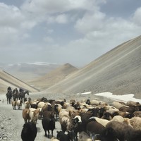 Фото отзыва 2: экскурсия "2 дня на озере Иссык-Куль: каньоны, горы и ледники"