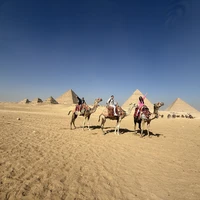 Фото отзыва 3: экскурсия "Летим в Каир! Индивидуальная экскурсия из Шарм-эль-Шейха"