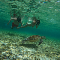 Фото отзыва 5: экскурсия "Морская прогулка на частной лодке по островам Гили + снорклинг с черепахами"