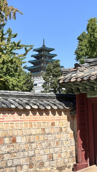 Наша экскурсия по Сеулу стала одним из прекрасных впечатлений от поездки - и во многом благодаря нашему замечательному гиду Аиде.