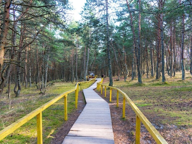 Фото экскурсии 7
