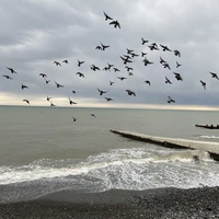 Фото отзыва 3: экскурсия "Фотопутешествие по Абхазии на Mini Cooper (из Сочи)"