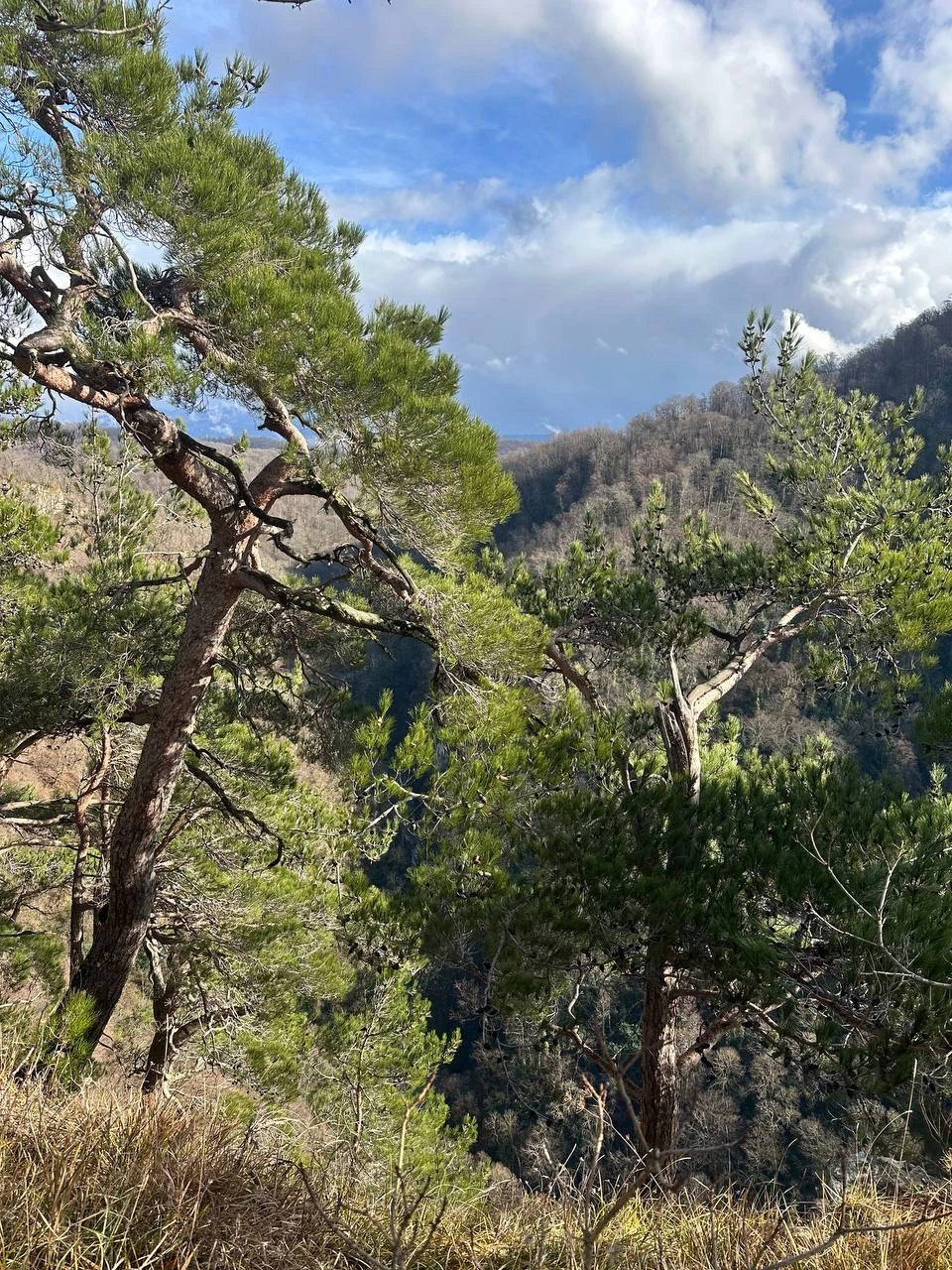 Недавно посетили экскурсию на Орлиные скалы с гидом Романом — это было незабываемое приключение!