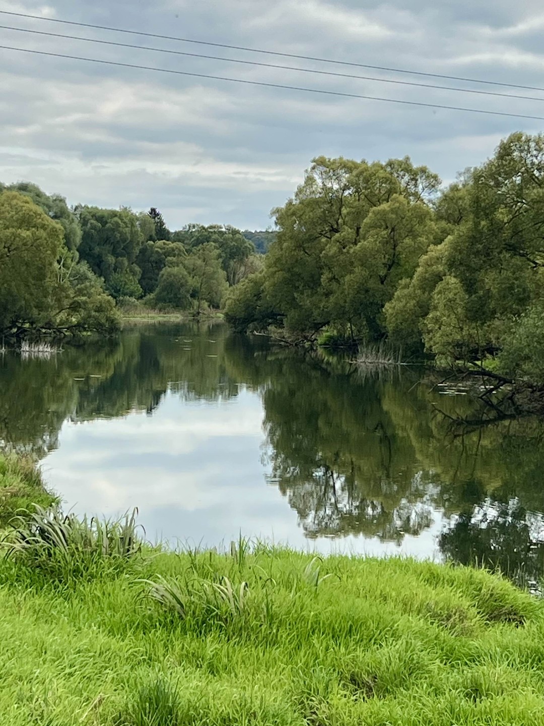 Путешествие в Пафнутьев Боровский монастырь с гидом-психологом (Елена)