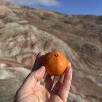 Фото отзыва 1: экскурсия "Яркость на максимум: розовое озеро, марсианские пейзажи и пикник на горе"