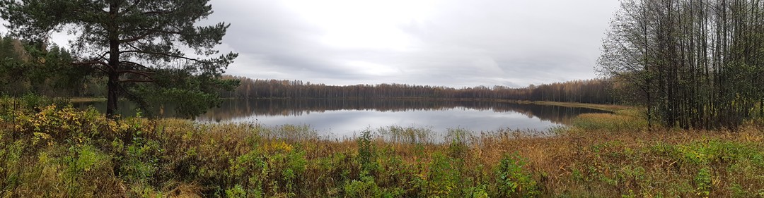 Нижегородская область славится не только своей столицей. Вокруг так же много мест, которые стоит посетить, приехав