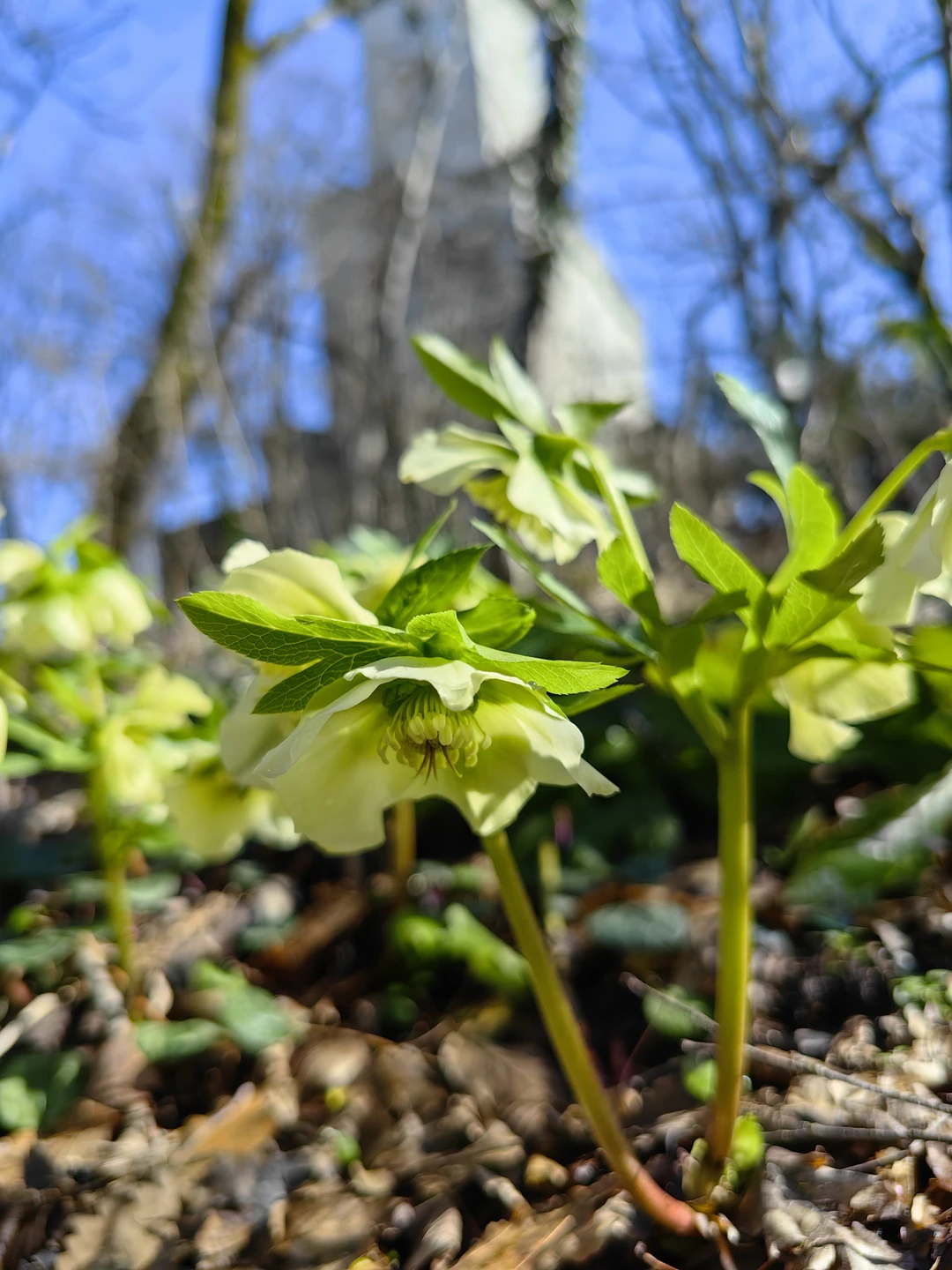 Буду краток. Февраль 2026 года. Семья 3 человека. Поездка с Романом была увлекательной, интересной, познательной! Доставил