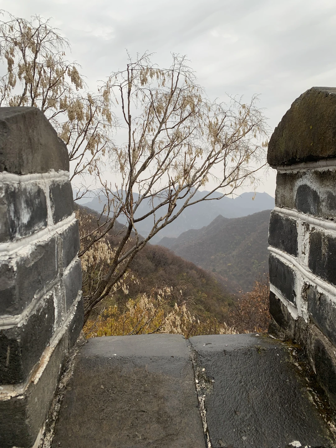 Олег очень оперативно (всего 1 день заранее) организовали нам тур с отличным гидом Аленой, скорректировал время