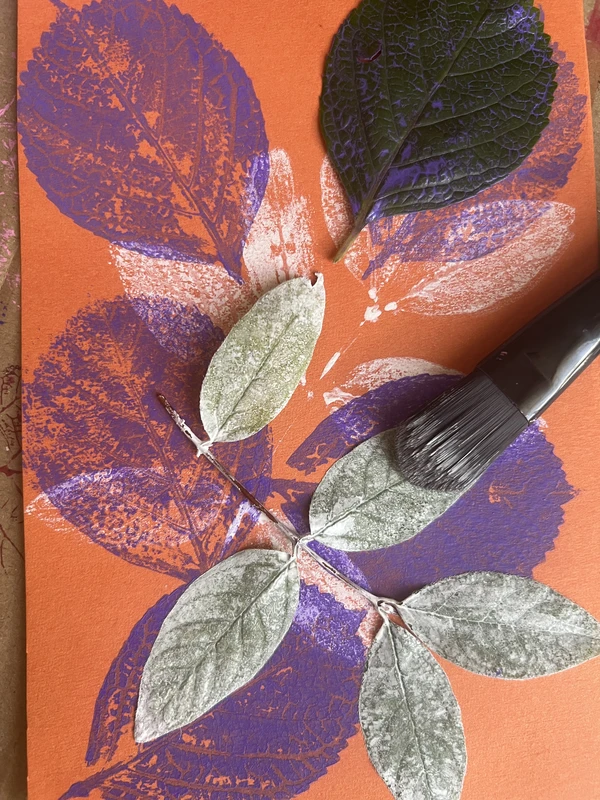 Виды Мастер-класс по монопечати растений в Сочи