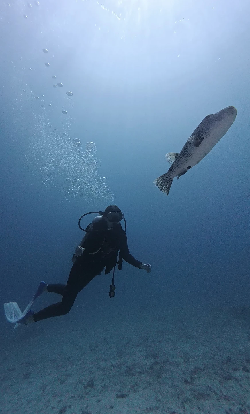 Вадим максимально комфортно познакомил нас с подводным миром и культурой дайвинга. Настолько трепетного подхода со стороны