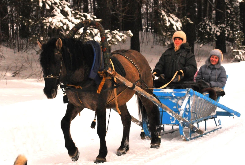 Катание верхом или в санях на конеферме в 33 км от Екатеринбурга