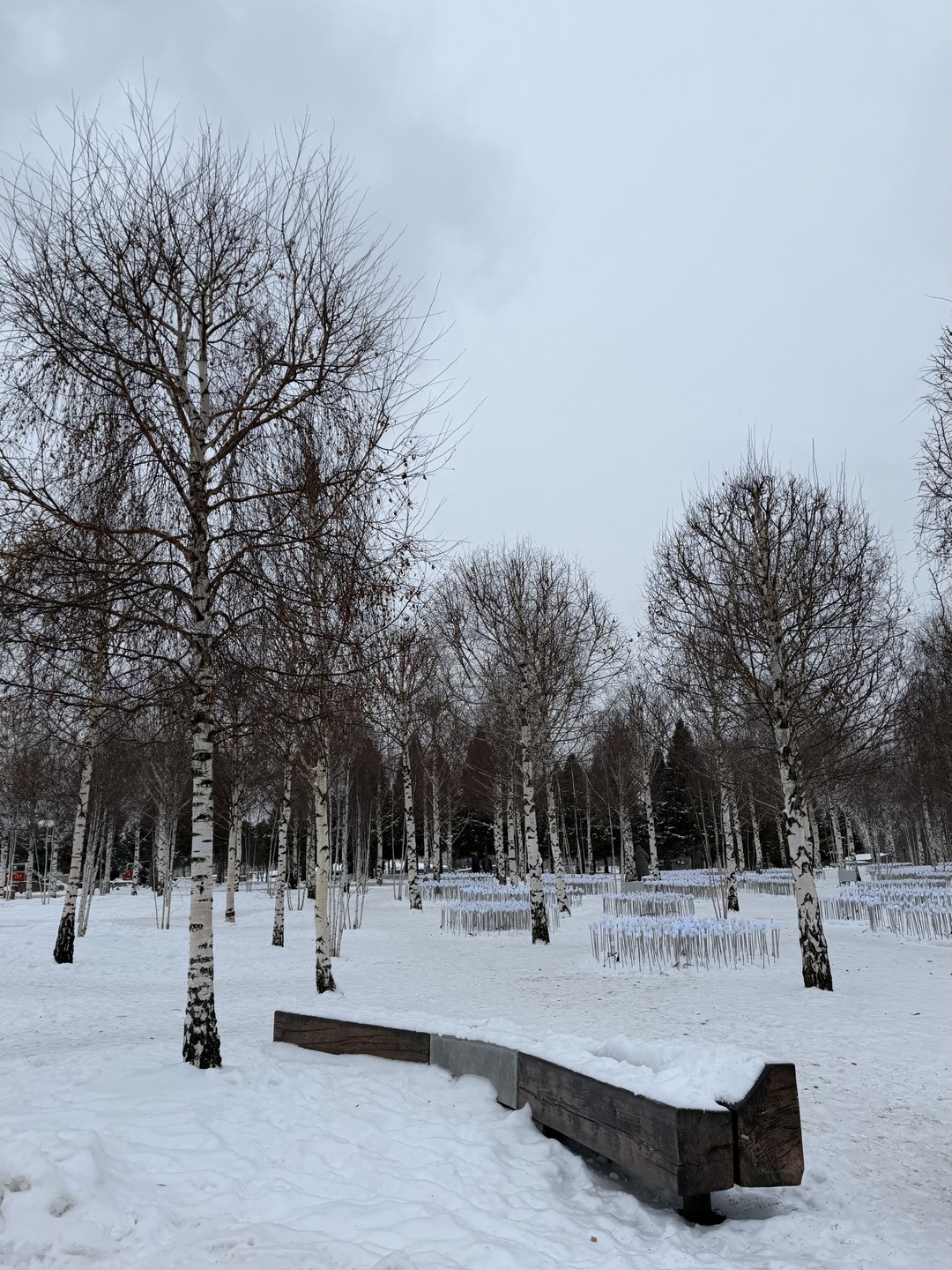 Спасибо большое Алине за эту интереснейшую прогулку!!!