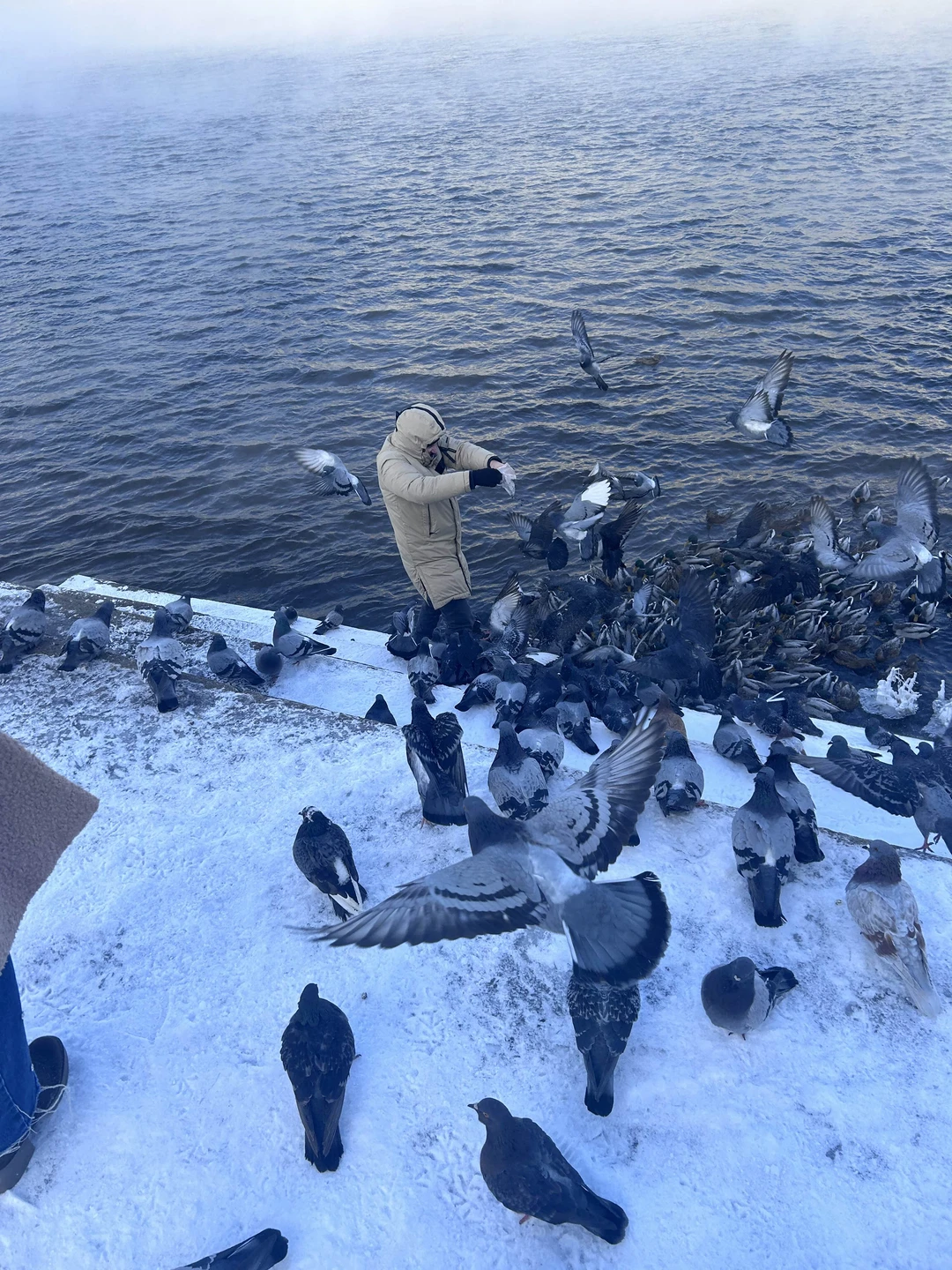 Игорю есть что рассказать и в поездке прямо много локаций по пути и все они интересные: там есть и про природу и про культуру и про животных