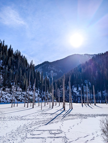 Очень комфортная экскурсия в мини-группе. Отлично выстроен тайминг, на Чарынский каньон приехали в 8:00, до наплыва