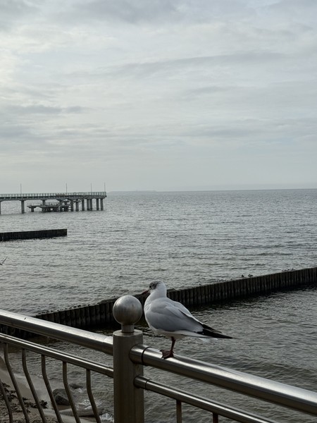 Прекрасная экскурсия, содержательная и не перегружена информацией. экскурсовод Лилия очень интересно и увлекательно рассказывает, много историй