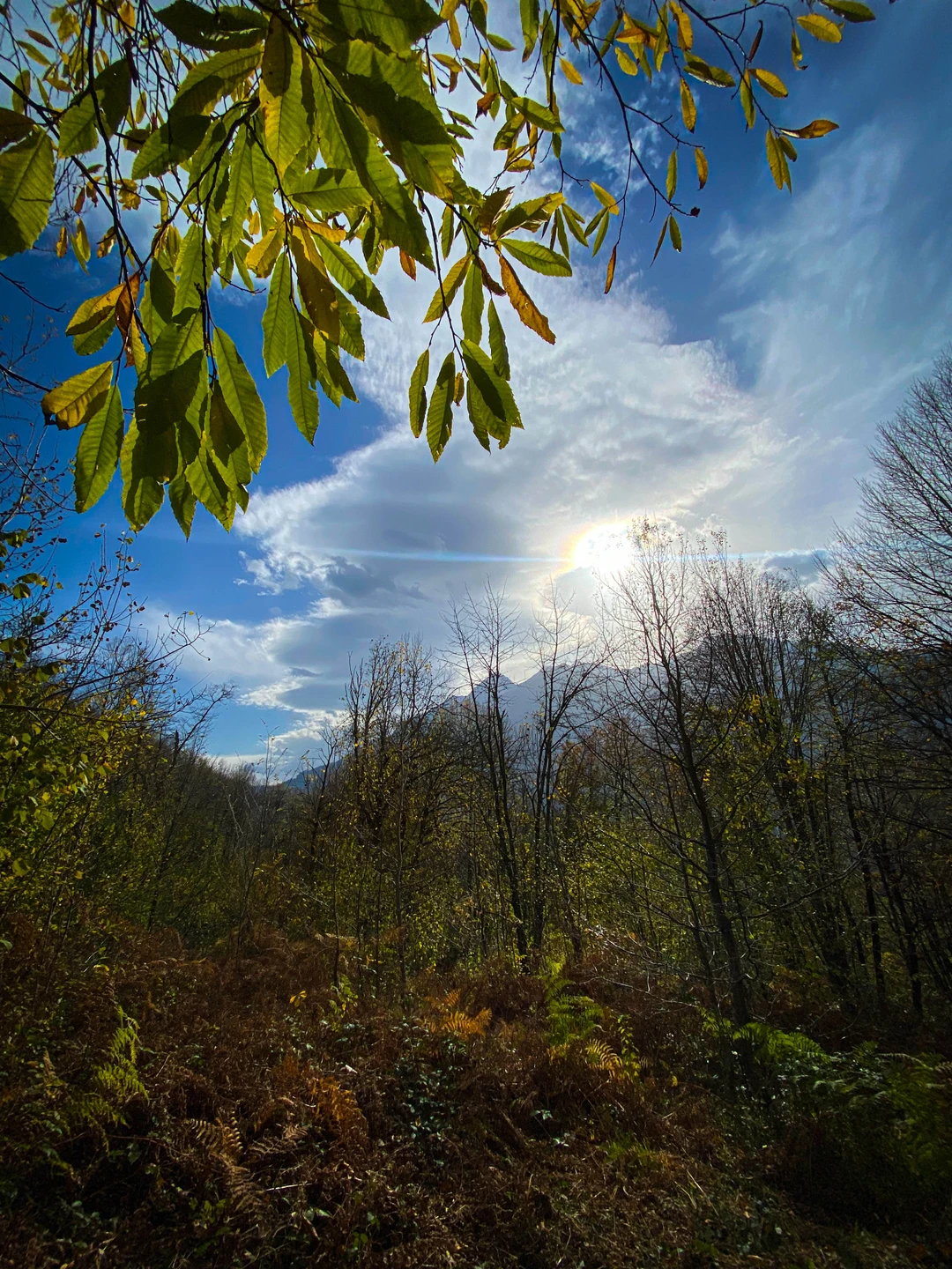 Отличная экскурсия на небольшую группу, уровень сложности маршрута средний, местами неподготовленным может быть сложно, но таких