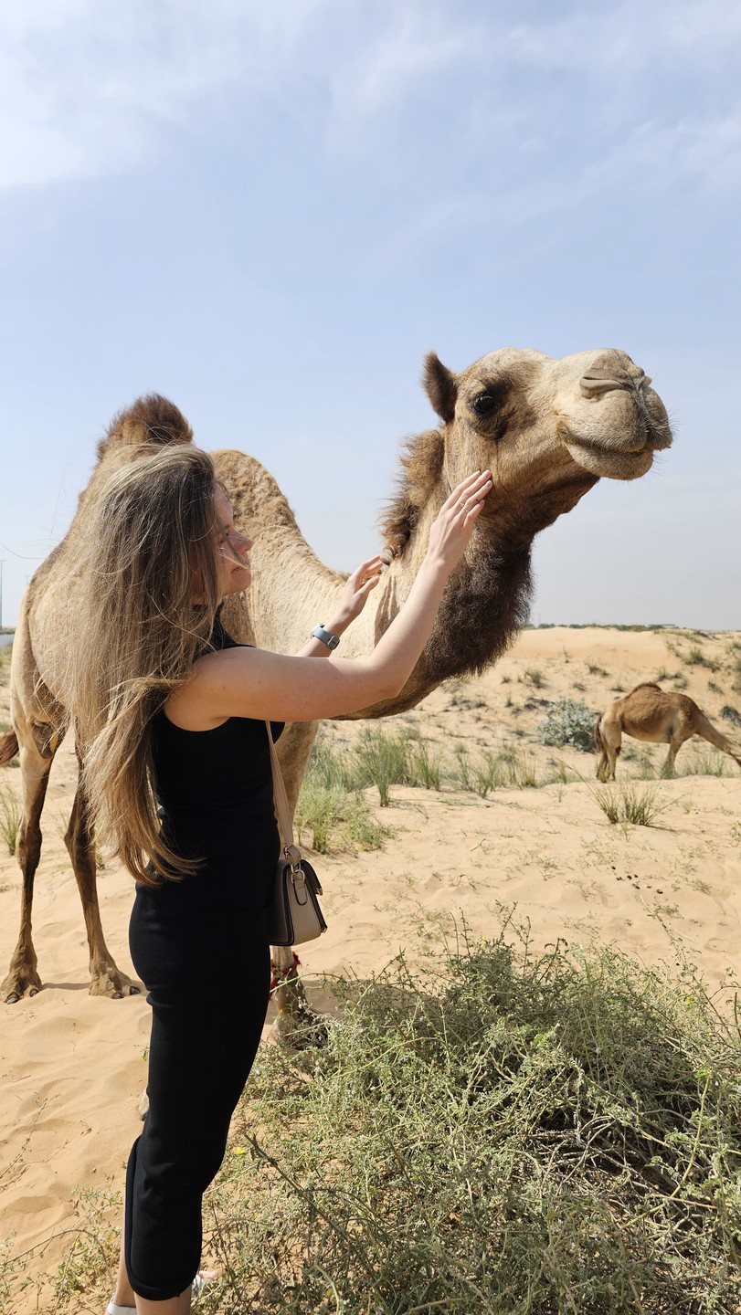 Экскурсия оставила двоякое впечатление, в целом я не жалею, что съездил по данному маршруту, однако были