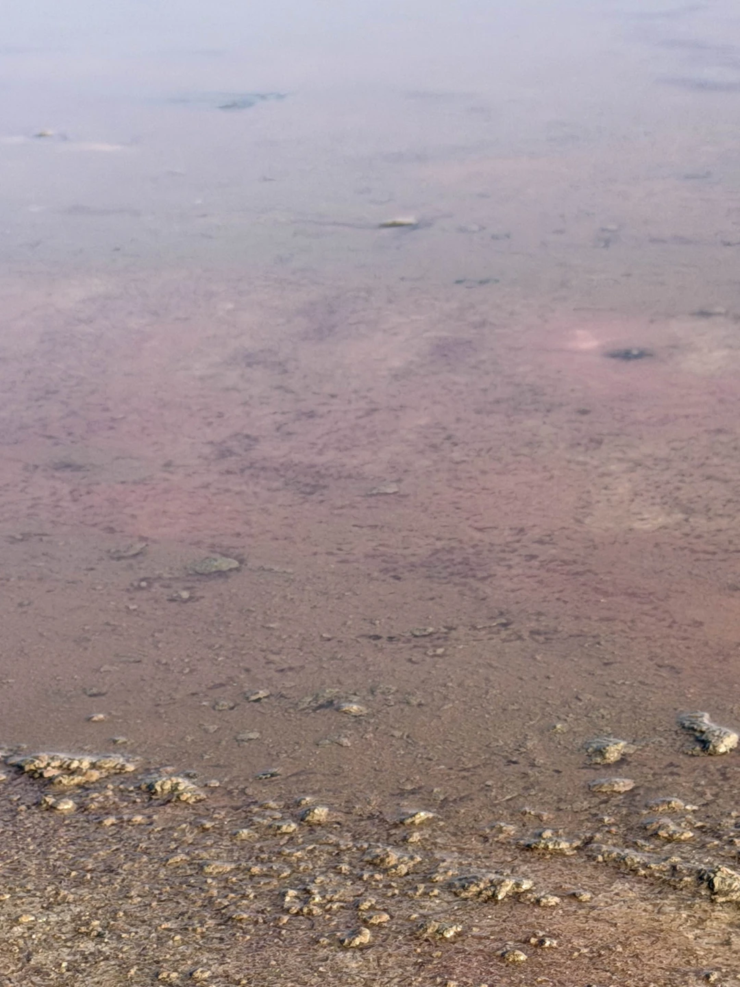 Нашего гида звали Мурад. Экскурсия очень понравилась, было 3 локации, по пути рассказывал о местах которые