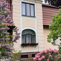 Фото отзыва 3: экскурсия "Амалиенау в деталях и историях"