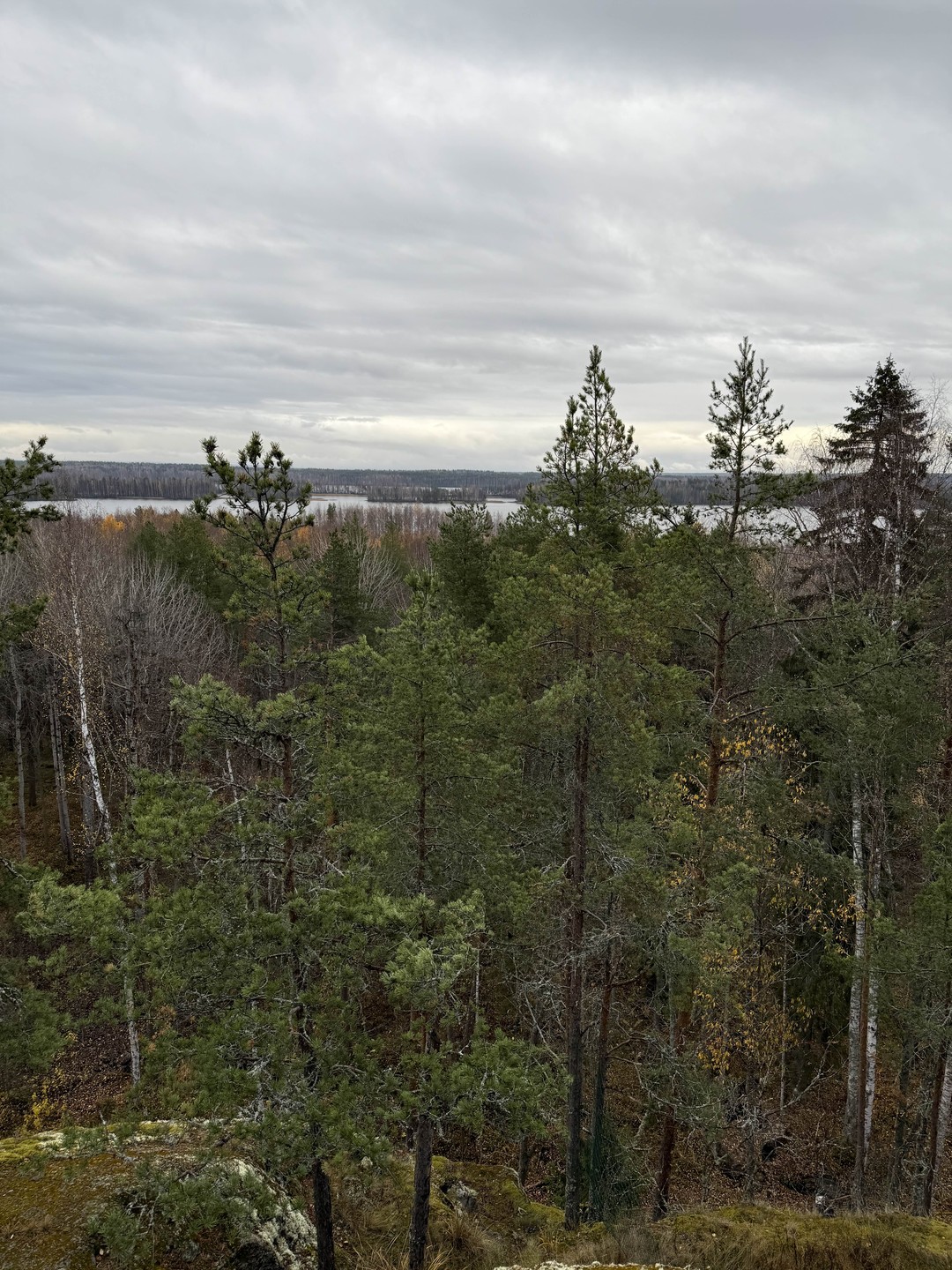 Нам с дочкой (13 лет) очень понравилась экскурсия! Вадим очень приятный человек, отличный рассказчик (знает и