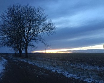 На северо-восток от Бреста