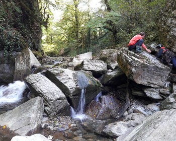 Самшитовые водопады, отдых у моря