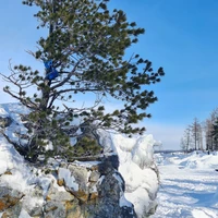 Фото отзыва 2: экскурсия "Из Улан-Удэ — на Байкал"