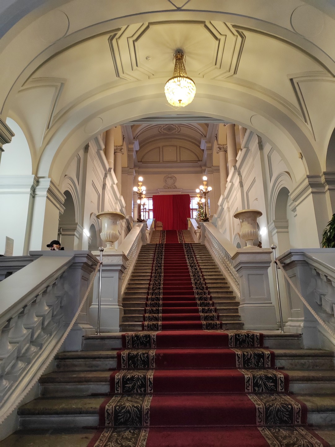 Прогулки… и булки в Петербурге (Дмитрий)