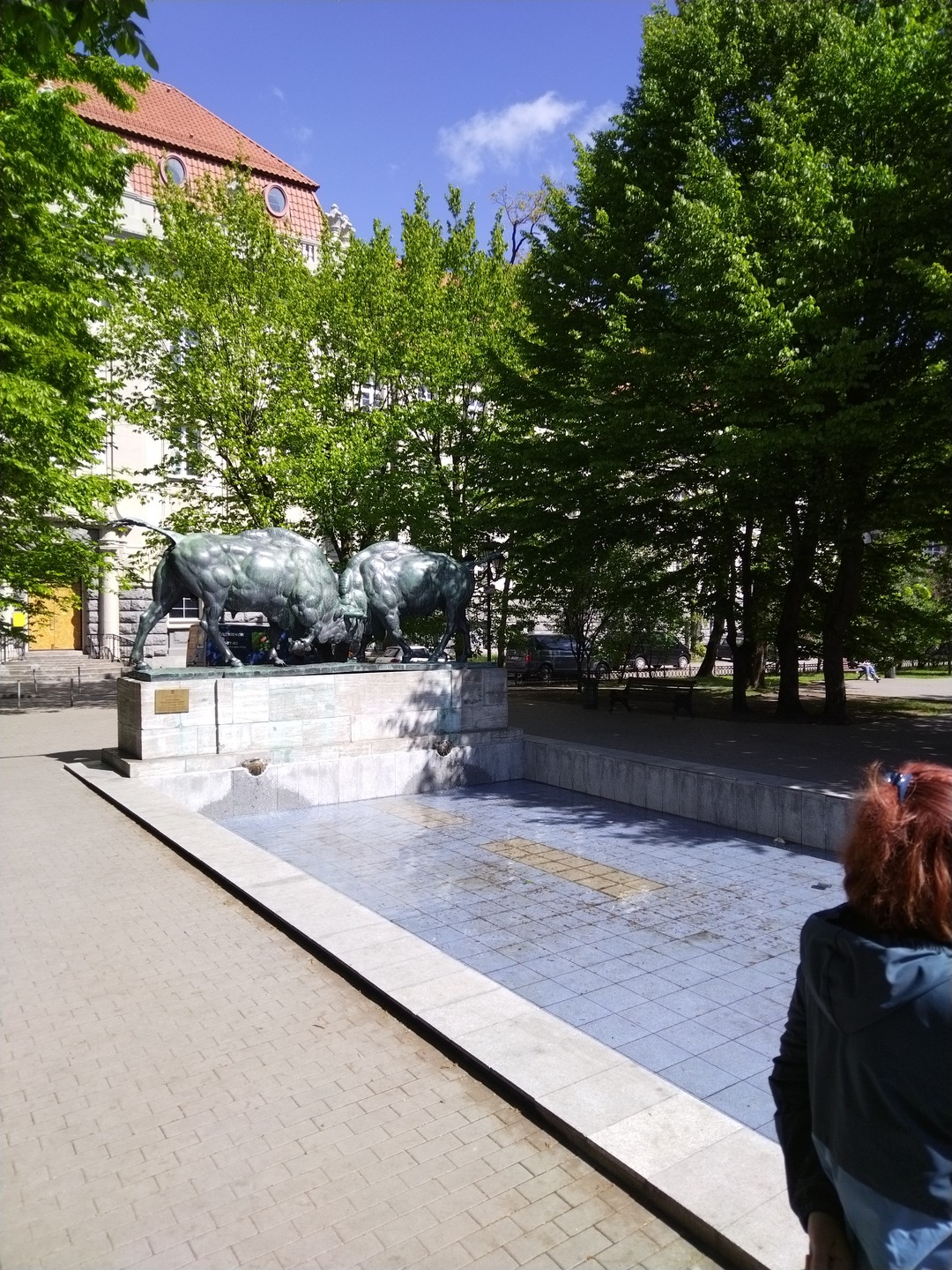 Замечательная экскурсия. Для первого знакомства с городом лучше не пожелать. Отличная подача материала, прекрасно подобранный маршрут