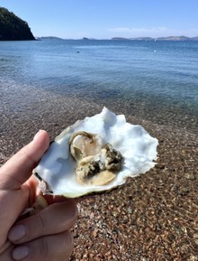 Фото отзыва 1: экскурсия "Релакс-путешествие по островам Японского моря — с гастрономической паузой"