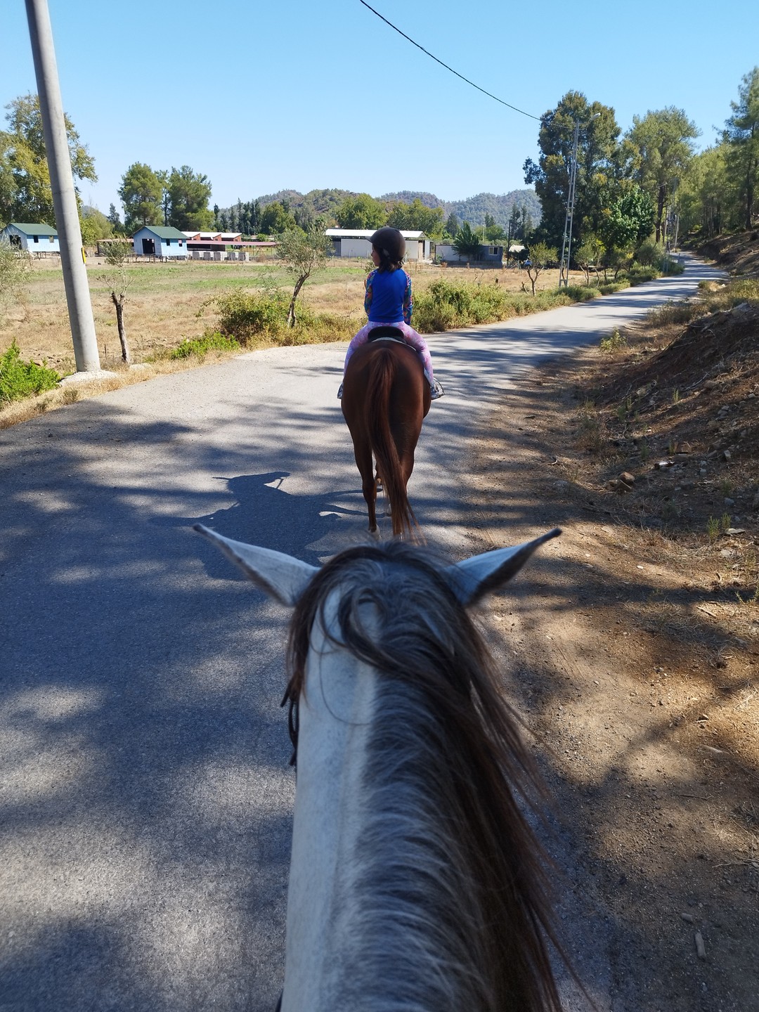 Понравилось. Четко организованно все. Трансфер, сама прогулка. Для тех, кто умелый наездник, есть возможность даже погалопировать