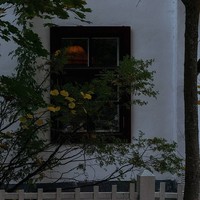 Фото отзыва 3: экскурсия "Таруса, Поленово, Бехово — едем и плывём за вдохновением!"