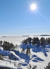 Фото отзыва 1: экскурсия "Зимняя Ладога на&nbsp;аэролодке"