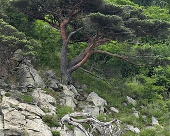 Полуостров Гамова, посещение гребешковой фермы и ужин-барбекю