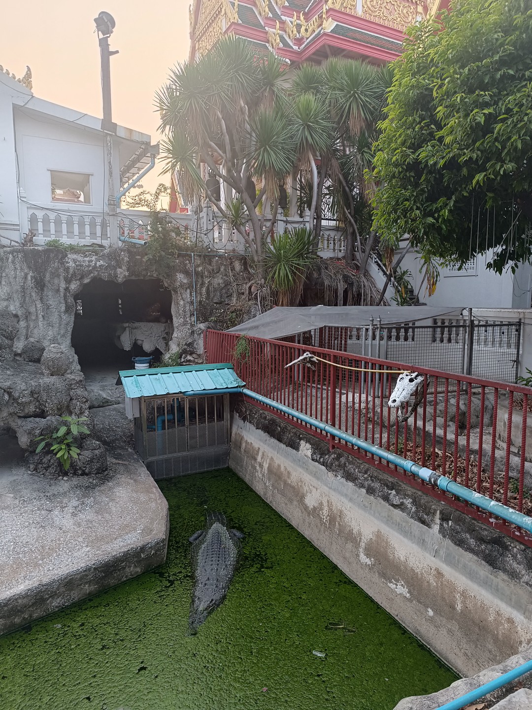 Все прошло на хорошем уровне. Реальность оказалась лучше чем ожидания! Будем рекомендовать друзьям