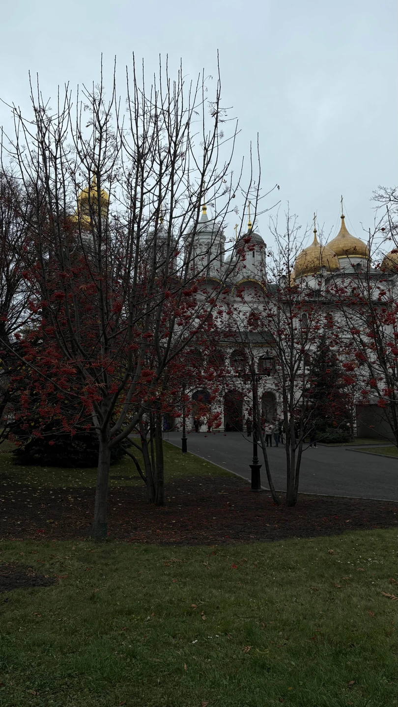 Прекрасный экскурсовод! Приятно провели время, узнали много интересных вещей. Всем рекомендуем за