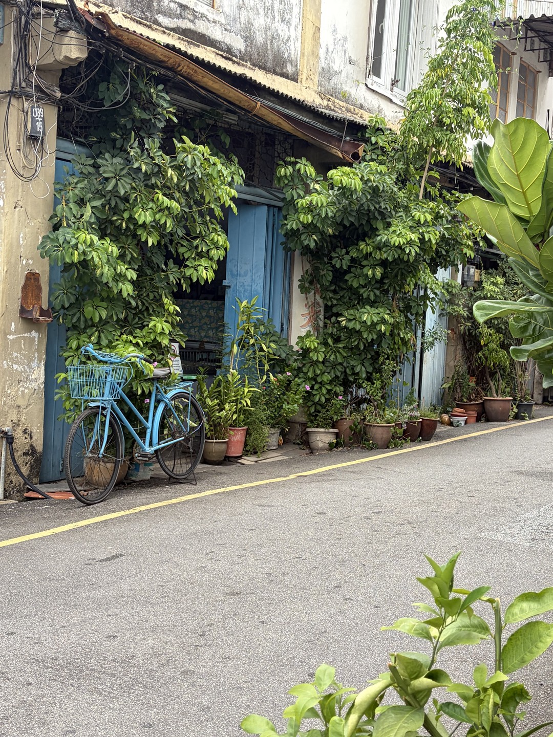 Очень яркий и красивый город. Стоит посетить обязательно, отличается от Куала-Лумпура