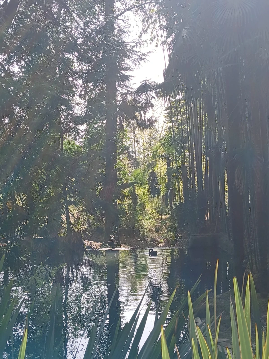 На экскурсии мы были в марте 2025,но до отзыва добралась только сейчас!!!