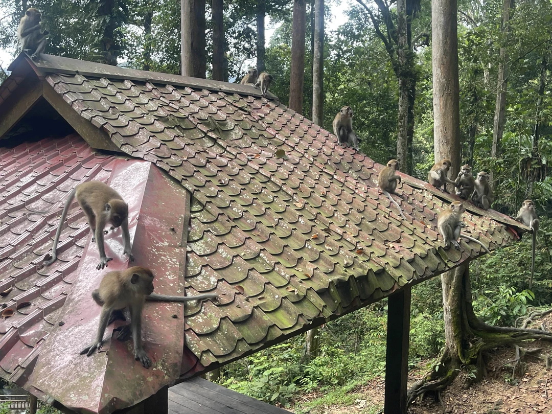 Потрясающая экскурсия!