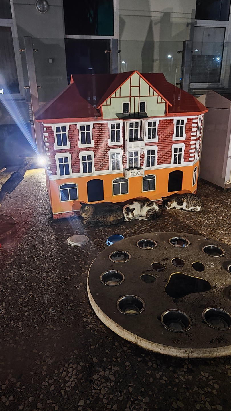 Совет - Уточняйте перед поездкой на какой машине будет путешествие.