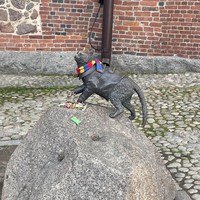 reviews img