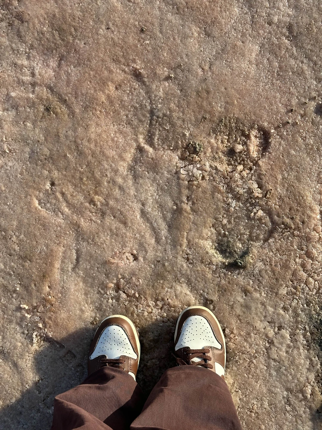 Потрясающая экскурсия! Большое спасибо гиду Идрису за подробные рассказы и ответы на вопросы) в ноябре очень