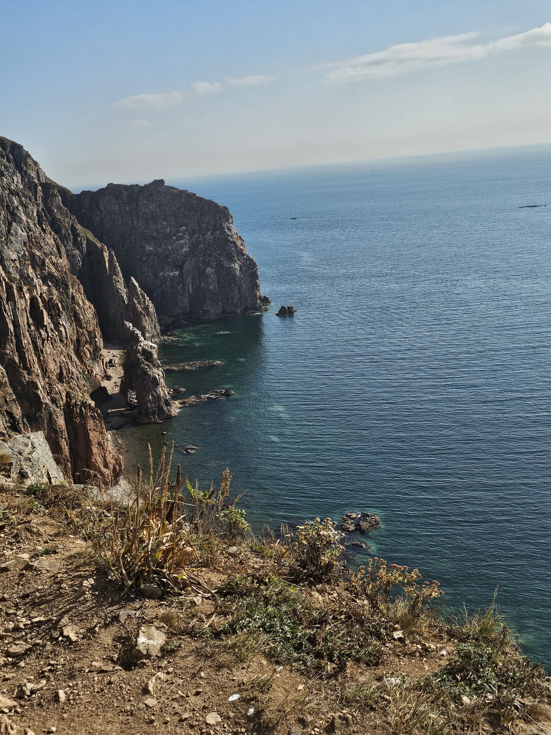 Морское приключение во Владивостоке: мыс Тобизина, котики и морепродукты (Ольга)