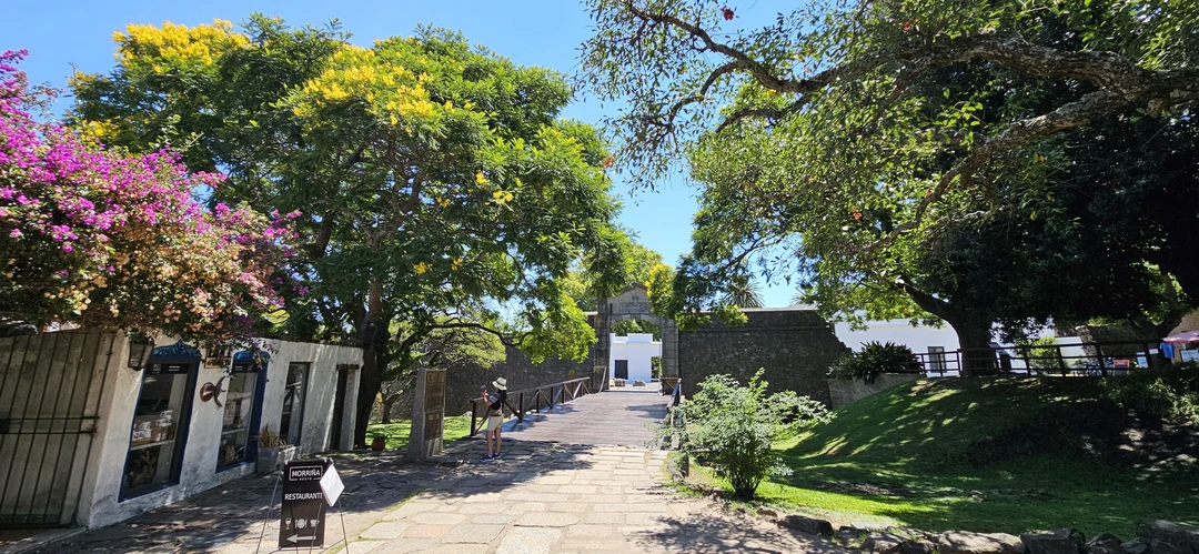 Большое спасибо Елизавете за поездку! Все было организовано отлично. Городок Колония-дель-Сакраменто нам очень понравился и на