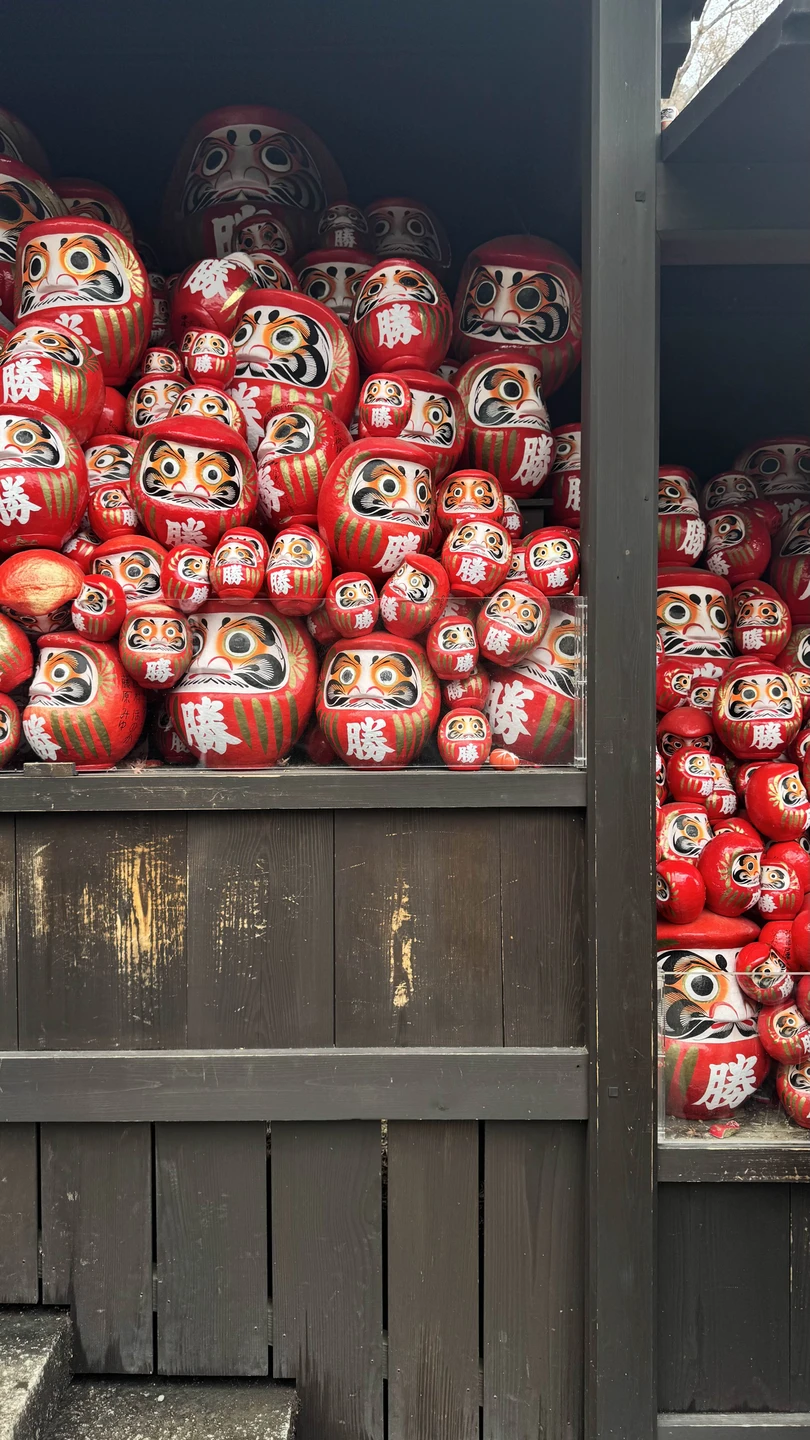 Отличный гид, со своим транспортом и видением Японии 🙂 Мы посещали Киото, Нару и Осаку, составляли