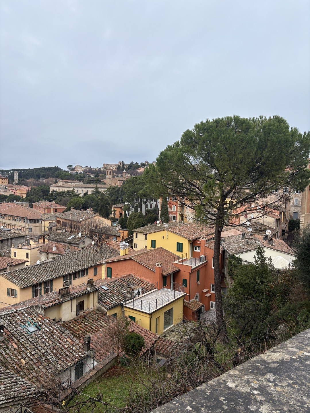 Замечательная экскурсия! Екатерина знает Перуджу и является отличный гидом) Рассказала все самое важное и интересное, было