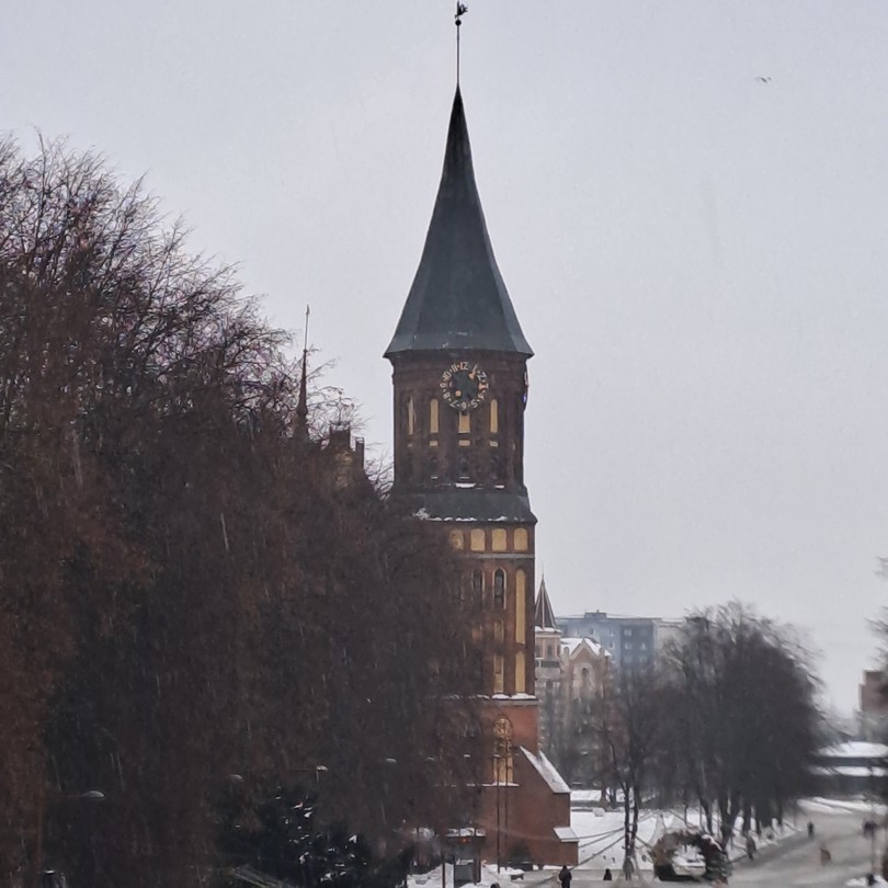 Инна чудесный экскурсовод. Совершенно случайно наткнулась на её профиль, и экскурсия «Сердце Кёнигсберга» сразу зацепила. Хоть