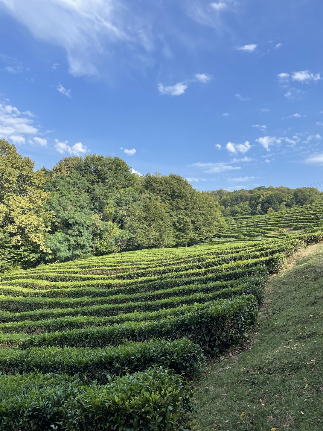 Хочу поделиться как я недавно провел выходные. Я побывал на потрясающей экскурсии