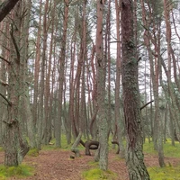 Фото отзыва 3: экскурсия "Куршская коса: земля древних куршей и великанши Неринги (из Калининграда)"